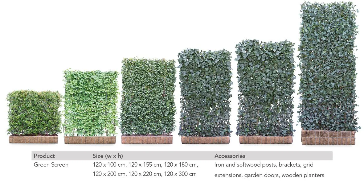 Green Screens detail
